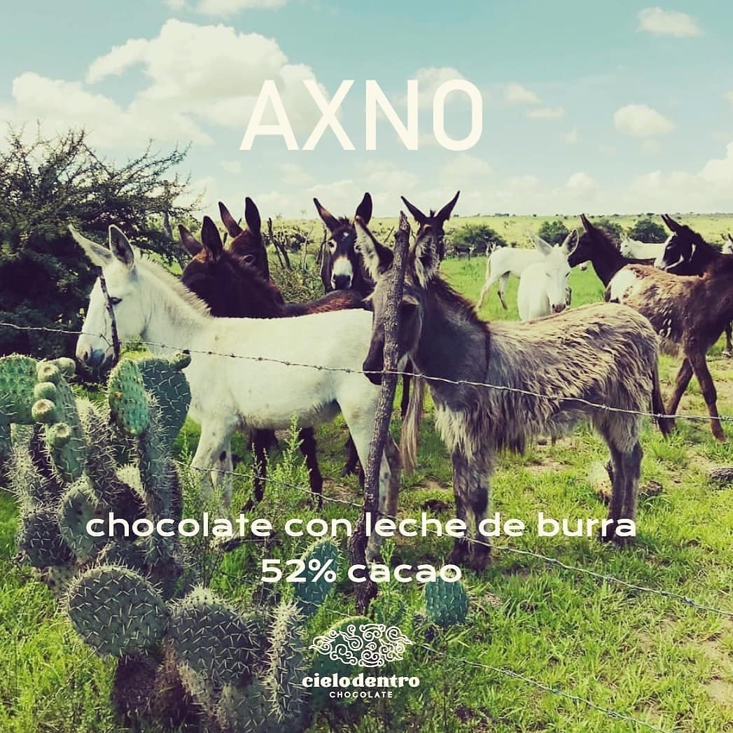 AXNO Chocolate con Leche de Burra 52% Cacao y Piñones Tostados